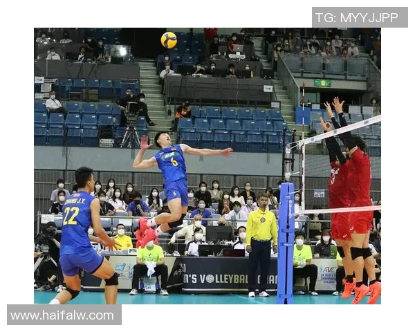 武汉排球队战术揭秘：排球巨献背后的策略与团队协作分析